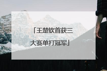 王楚钦首获三大赛单打冠军