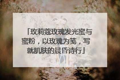 玫莉蔻玫瑰发光蜜与蜜粉，以玫瑰为笺，写就肌肤的晨昏诗行