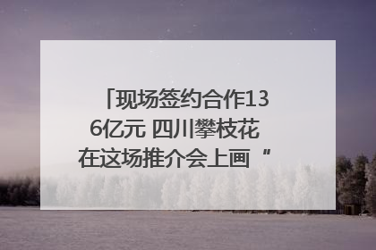 现场签约合作136亿元 四川攀枝花在这场推介会上画“图谱”列“清单”