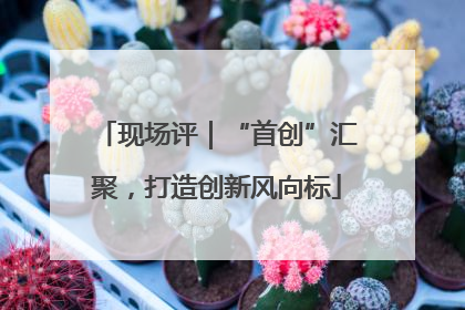现场评｜“首创”汇聚，打造创新风向标