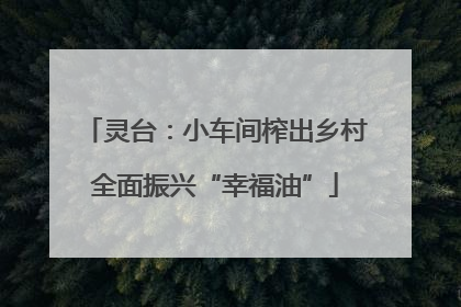 灵台：小车间榨出乡村全面振兴“幸福油”