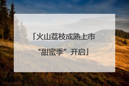 火山荔枝成熟上市 “甜蜜季”开启