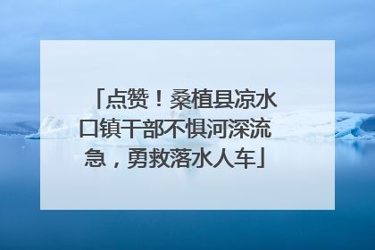 点赞！桑植县凉水口镇干部不惧河深流急，勇救落水人车