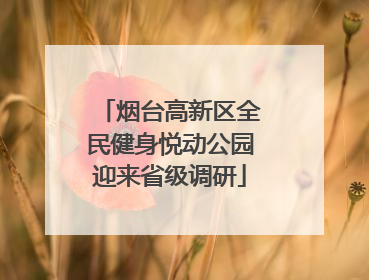 烟台高新区全民健身悦动公园迎来省级调研