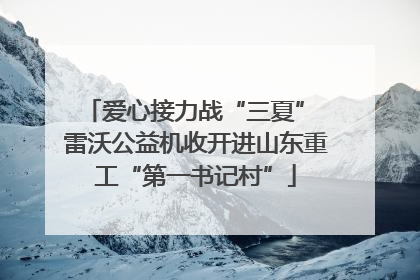爱心接力战“三夏” 雷沃公益机收开进山东重工“第一书记村”