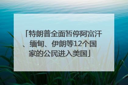 特朗普全面暂停阿富汗、缅甸、伊朗等12个国家的公民进入美国