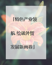 特色产业领航 绘就外贸发展新画卷