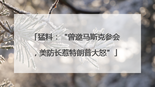 猛料：“曾邀马斯克参会，美防长惹特朗普大怒”