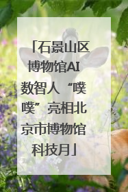 石景山区博物馆AI数智人“噗噗”亮相北京市博物馆科技月