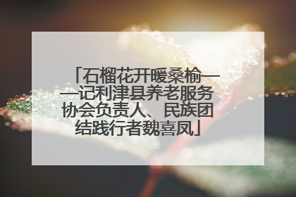 石榴花开暖桑榆——记利津县养老服务协会负责人、民族团结践行者魏喜凤