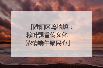睢阳区坞墙镇：粽叶飘香传文化 浓情端午聚民心