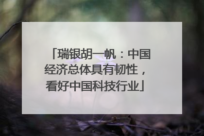 瑞银胡一帆：中国经济总体具有韧性，看好中国科技行业
