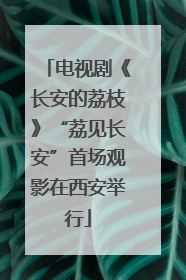 电视剧《长安的荔枝》“荔见长安”首场观影在西安举行