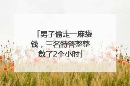男子偷走一麻袋钱，三名特警整整数了2个小时