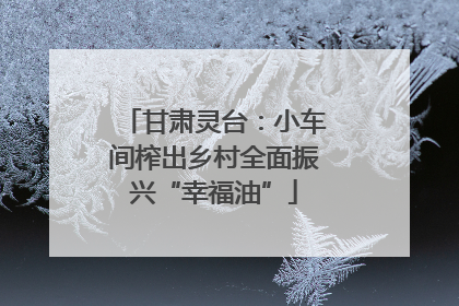甘肃灵台：小车间榨出乡村全面振兴“幸福油”