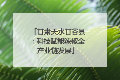 甘肃天水甘谷县：科技赋能辣椒全产业链发展