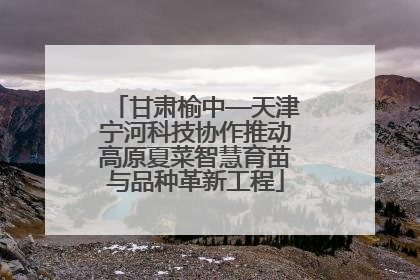 甘肃榆中—天津宁河科技协作推动高原夏菜智慧育苗与品种革新工程