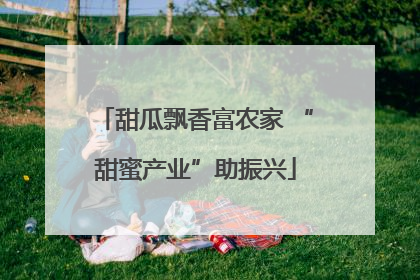 甜瓜飘香富农家 “甜蜜产业”助振兴