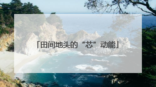 田间地头的“芯”动能
