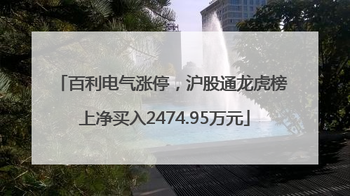 百利电气涨停，沪股通龙虎榜上净买入2474.95万元