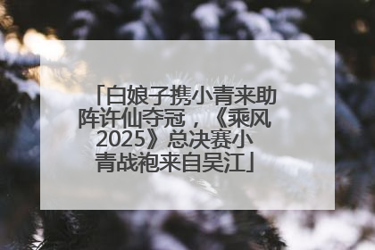 白娘子携小青来助阵许仙夺冠，《乘风2025》总决赛小青战袍来自吴江