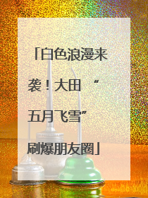 白色浪漫来袭！大田 “五月飞雪” 刷爆朋友圈