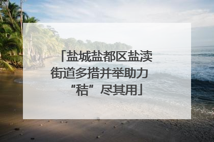 盐城盐都区盐渎街道多措并举助力“秸”尽其用