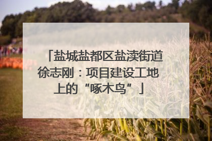 盐城盐都区盐渎街道徐志刚：项目建设工地上的“啄木鸟”