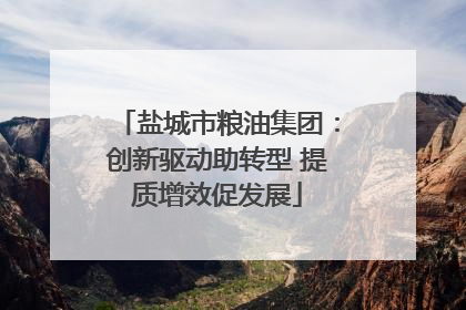 盐城市粮油集团：创新驱动助转型 提质增效促发展