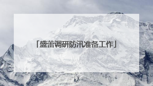 盛蕾调研防汛准备工作