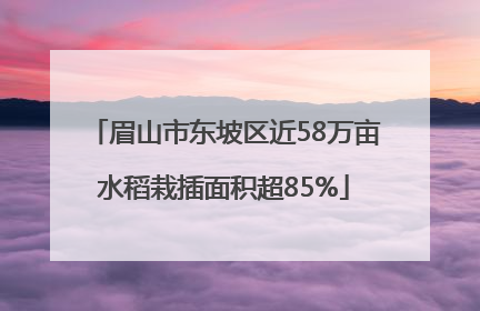 眉山市东坡区近58万亩水稻栽插面积超85%