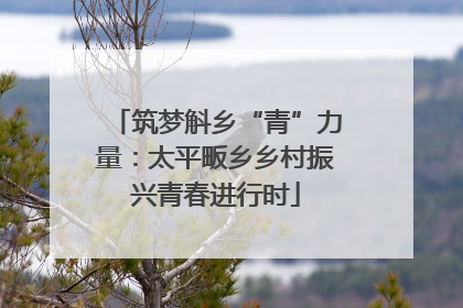 筑梦斛乡“青”力量：太平畈乡乡村振兴青春进行时