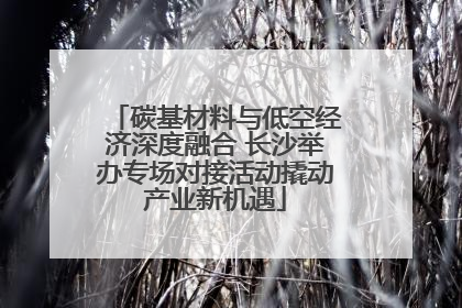 碳基材料与低空经济深度融合 长沙举办专场对接活动撬动产业新机遇