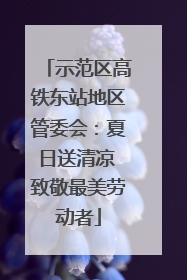 示范区高铁东站地区管委会：夏日送清凉 致敬最美劳动者