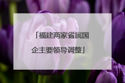 福建两家省属国企主要领导调整