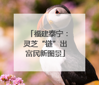 福建泰宁：灵芝“链”出富民新图景