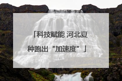科技赋能 河北夏种跑出“加速度”