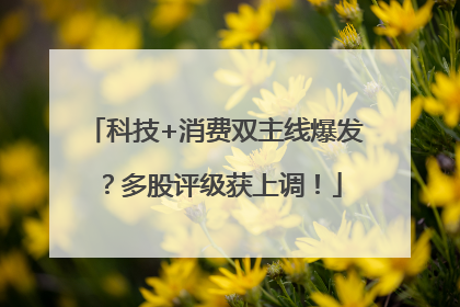 科技+消费双主线爆发？多股评级获上调！
