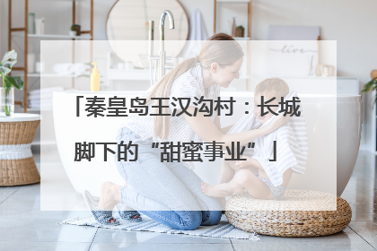 秦皇岛王汉沟村：长城脚下的“甜蜜事业”