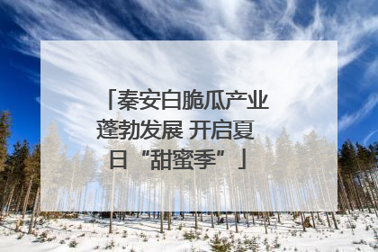 秦安白脆瓜产业蓬勃发展 开启夏日“甜蜜季”