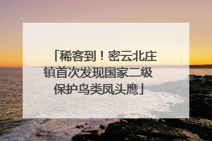 稀客到！密云北庄镇首次发现国家二级保护鸟类凤头鹰