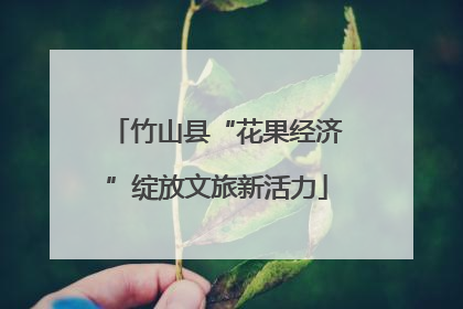 竹山县“花果经济”绽放文旅新活力