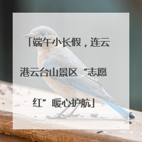 端午小长假，连云港云台山景区“志愿红”暖心护航