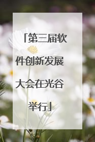 第三届软件创新发展大会在光谷举行