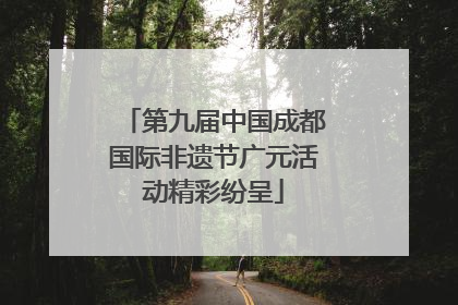 第九届中国成都国际非遗节广元活动精彩纷呈