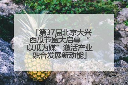 第37届北京大兴西瓜节盛大启幕 “以瓜为媒”激活产业融合发展新动能