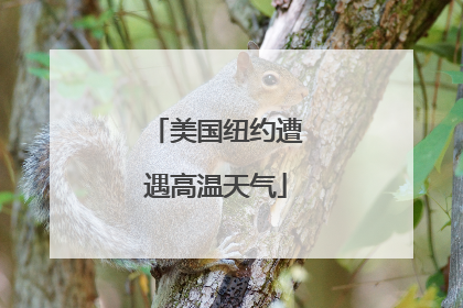 美国纽约遭遇高温天气