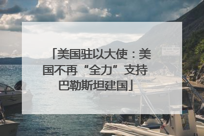 美国驻以大使：美国不再“全力”支持巴勒斯坦建国
