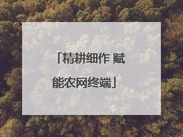 精耕细作 赋能农网终端
