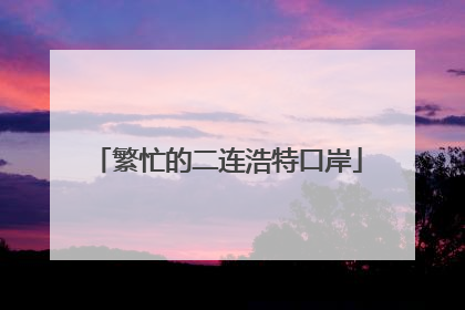 繁忙的二连浩特口岸